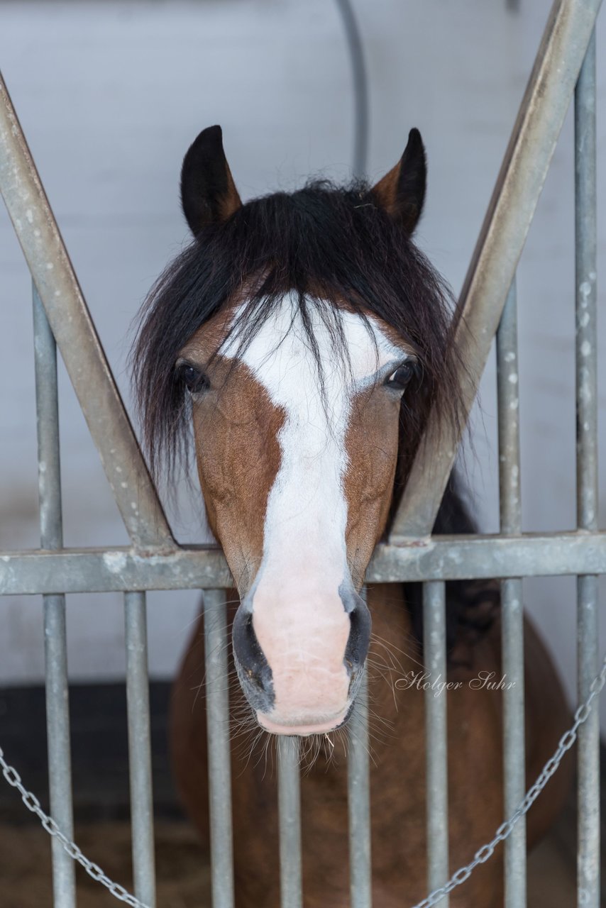 Bild 108 - Pony Akademie Turnier